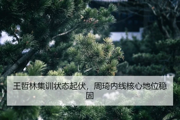 wang-zhe-lin-ji-xun-zhuang-tai-qi-fu-zhou-qi-nei-xian-he-xin-di-wei-wen-gu-2-482.jpg
