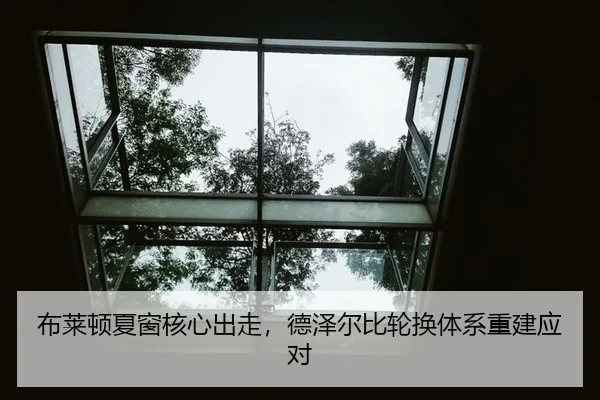 bu-lai-dun-xia-chuang-he-xin-chu-zou-de-ze-er-bi-lun-huan-ti-xi-chong-jian-ying-dui-3-249.jpg