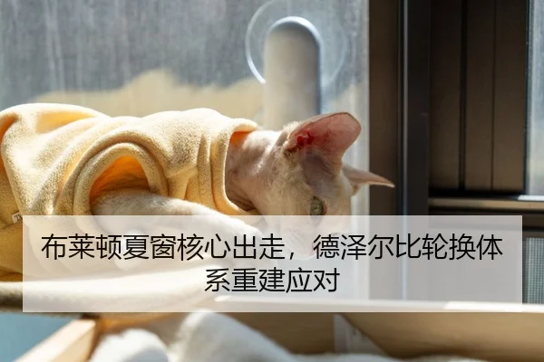 布莱顿夏窗核心出走，德泽尔比轮换体系重建应对
