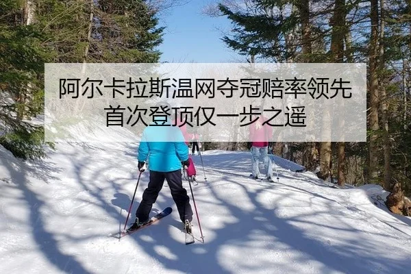 a-er-ka-la-si-wen-wang-duo-guan-pei-shuai-ling-xian-shou-ci-deng-ding-jin-yi-bu-zhi-yao-2-484.jpg