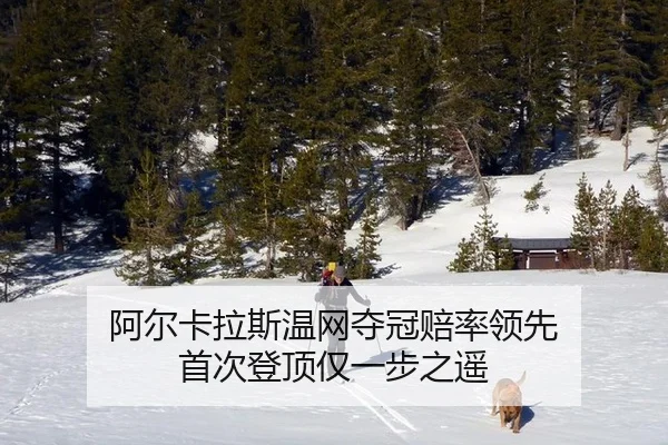 阿尔卡拉斯温网夺冠赔率领先 首次登顶仅一步之遥