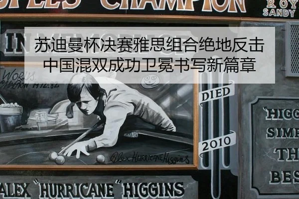 su-di-man-bei-jue-sai-ya-si-zu-he-jue-di-fan-ji-zhong-guo-hun-shuang-cheng-gong-wei-mian-shu-xie-xin-pian-zhang-3-421.jpg