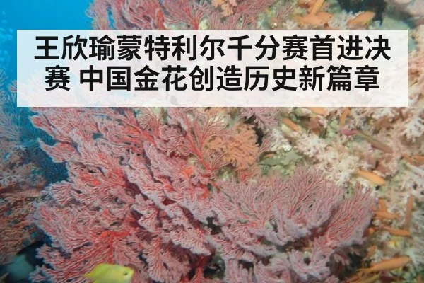 王欣瑜蒙特利尔千分赛首进决赛 中国金花创造历史新篇章